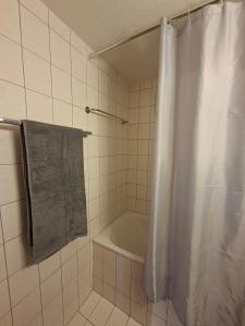 Billede fra billedgalleriet på Studio Chalet Edelweiss i Blitzingen