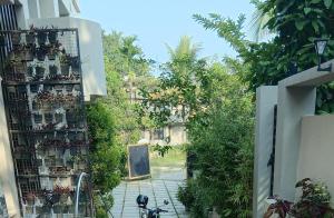 a bicycle is parked in a courtyard with plants at UPPU HOMESTAY in Mulappilangād