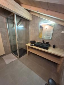 a bathroom with a sink and a mirror at Maison Gite Le Randonneur in La Bresse +14 photos