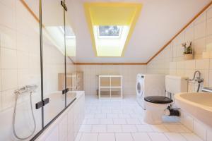 a bathroom with a toilet and a sink and a skylight at Lakeside Apartments in Haller