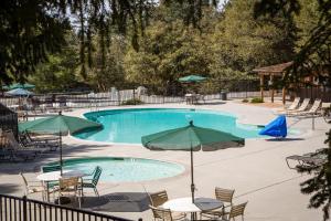 uma piscina com mesas, cadeiras e guarda-sóis em Idyllwild Camping Resort Cottage em Idyllwild