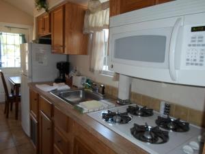 a kitchen with a sink and a microwave above a stove at Las Vegas Camping Resort Cabin 4 in Las Vegas