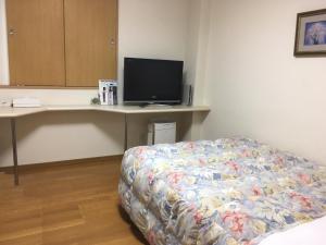 TV a/nebo společenská místnost v ubytování Hotel Tajimi Hills Myroom