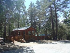 a small cabin in the middle of a forest at Idyllwild Camping Resort Wheelchair Accessible Cottage in Idyllwild