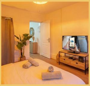 TV a/nebo společenská místnost v ubytování L'Amara I T1 I Gaillard