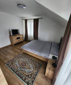een slaapkamer met een bed en een televisie en een tapijt bij Casa CLO in Sighetu Marmaţiei