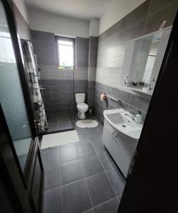 een badkamer met toilet en wastafel bij Casa CLO in Sighetu Marmaţiei