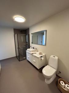 a bathroom with a toilet and a sink and a mirror at Sentral leilighet in Egersund
