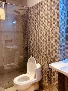a bathroom with a toilet and a shower and a sink at Hotel pearlinn karachi in Karachi +20 photos