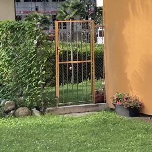 ein Tor in einem Garten mit grünem Gras in der Unterkunft Tarta-Loft in Minusio