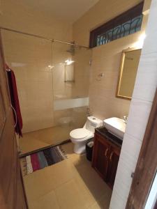 een badkamer met toilet en wastafel bij Morjim Plaza in Morjim