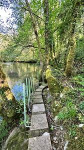 een stenen pad naast een rivier met bomen bij Refúgio do Ribeirinho in Paredes de Coura