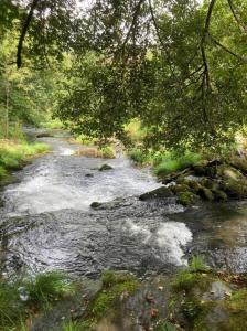 een waterstroom met rotsen en bomen bij Refúgio do Ribeirinho in Paredes de Coura +24 foto's