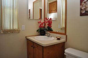 a bathroom with a sink and a mirror at Las Vegas Camping Resort Cabin 3 in Las Vegas