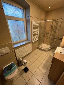 een badkamer met een douche, een toilet en een wastafel bij Ferienwohnung Lengenfeld in Lengenfeld