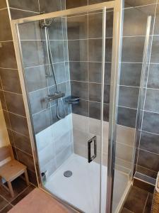 une douche avec une porte en verre dans une salle de bain dans l'établissement Spacious 3-room penthouse apartment, à Truchtersheim