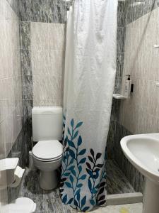 une salle de bain avec toilettes et rideau de douche dans l'établissement Babis Hotel, à Karterados