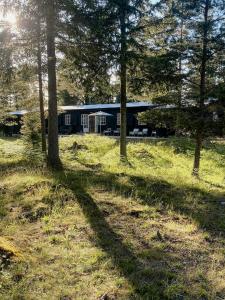 Příroda nedaleko prázdninového domu