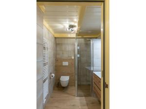 een badkamer met toilet, douche en wastafel bij Lovely Holiday Home in Texel near Sea in Oost