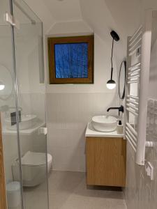 Koupelna v ubytování Leśne Chatki - Apartamenty Świerk i Sosna