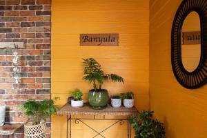 een gele muur met planten op een tafel met een spiegel bij Banyula in Bawley in Bawley Point