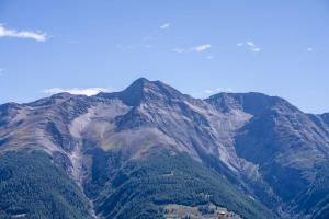 uitzicht op een bergketen met bomen bij Ambiente B12 in Bettmeralp +25 foto's