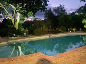 a swimming pool in a garden at night at Emma's Place in De Rust