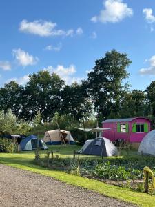 a group of tents in a field with trees at De Schamelwagen in Bant