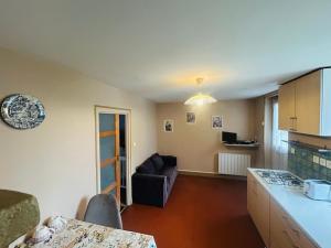 een keuken en een woonkamer met een bank bij Maisonnette deux couchages in Chantenay-Saint-Imbert