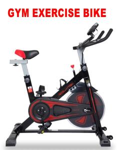 Fitness centrum a/nebo fitness zařízení v ubytování Shriram Guest House