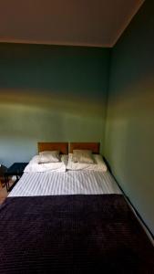 een bed in een kamer met een groene muur bij Apartament Granatowy Chill in Łódź