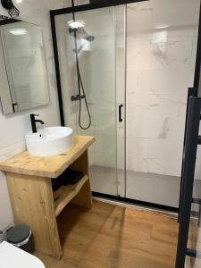 a bathroom with a sink and a shower at Le Cocon Authentique in Mont-de-Marsan