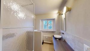 un bagno con doccia, wc e lavandino di Apartment Pradatsch a Celerina