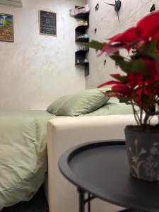 a bed with a table with a potted plant on it at Il Rifugio Nel Vicolo in Subiaco