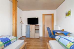 TV/trung tâm giải trí tại Haus am Ettenberg