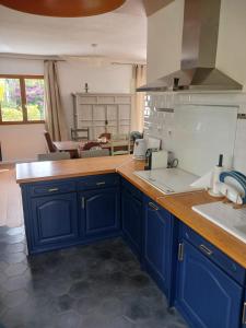 a kitchen with blue cabinets and a counter top at Les Fougères in Les Avirons +19 photos