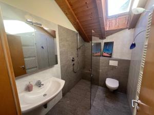 a bathroom with a sink and a shower and a toilet at Dolomiten View - South Tyrol in Villandro