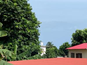 a building with a red roof next to a tree at Mandinga Guest house in São Tomé