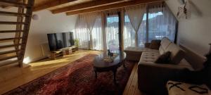 TV a/nebo společenská místnost v ubytování Pensiunea Micul Maramureș