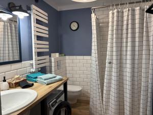 een badkamer met een wastafel en een douchegordijn bij U Reni in Bydgoszcz