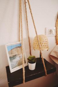 a picture hanging from a rope with a plant on a table at Casa Olga in Caleta de Sebo +24 photos