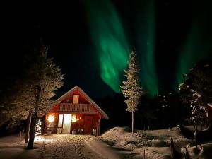Eine Hütte mit den Polarlichtern am Himmel neben einem Baum in der Unterkunft Cozy Mountain Cabin in Senja in Senja + 4 Fotos
