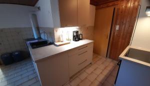 een keuken met een spoelbak en een aanrechtblad bij Haus Lüftleck in Lunz am See +3 foto's