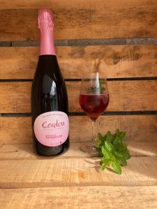 une bouteille de vin rouge à côté d'un verre de vin dans l'établissement Mondeuse, à Boyeux-Saint-Jérôme 7 autres photos