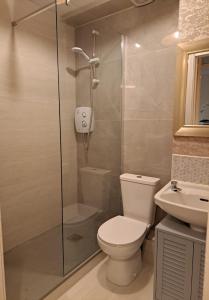 Et badeværelse på Cozy Apartment Dublin City Centre