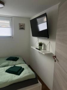 een slaapkamer met een bed en een tv aan de muur bij Hausboot - Nordsonne 10 in Wangerland