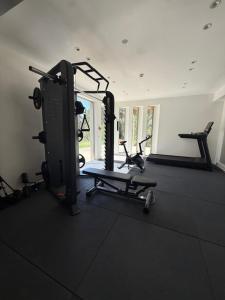 a gym with several treadmills and exercise bikes at Gerakas Belvedere Hotel & Spa in Vasilikos
