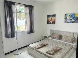 une chambre avec un lit avec des oreillers et une fenêtre dans l'établissement Coconut House, à Albion