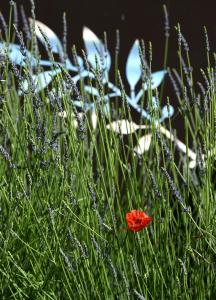 En have udenfor Gîte des Demoiselles en Luberon