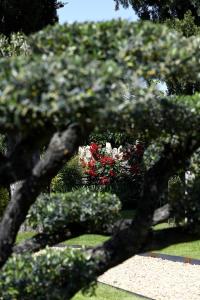En have udenfor Gîte des Demoiselles en Luberon